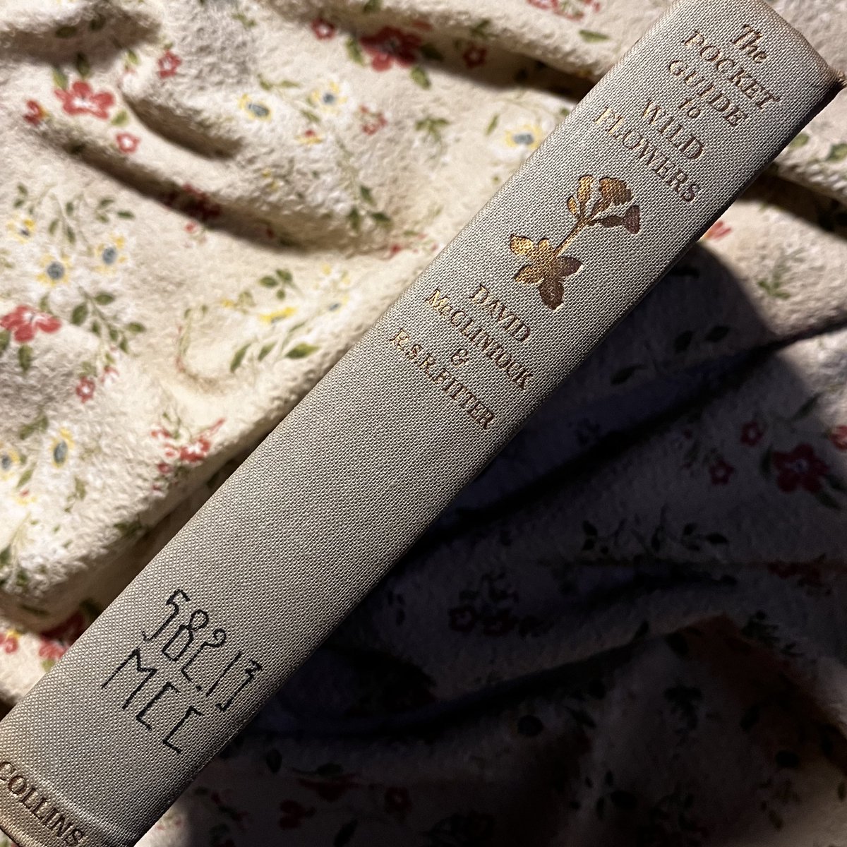 liliniim's tweet photo. —nemu buku cantik yang gak ada dust jacketnya🪻🌷

Published by Collins in London, 1961 https://t.co/lloCsRPo7B