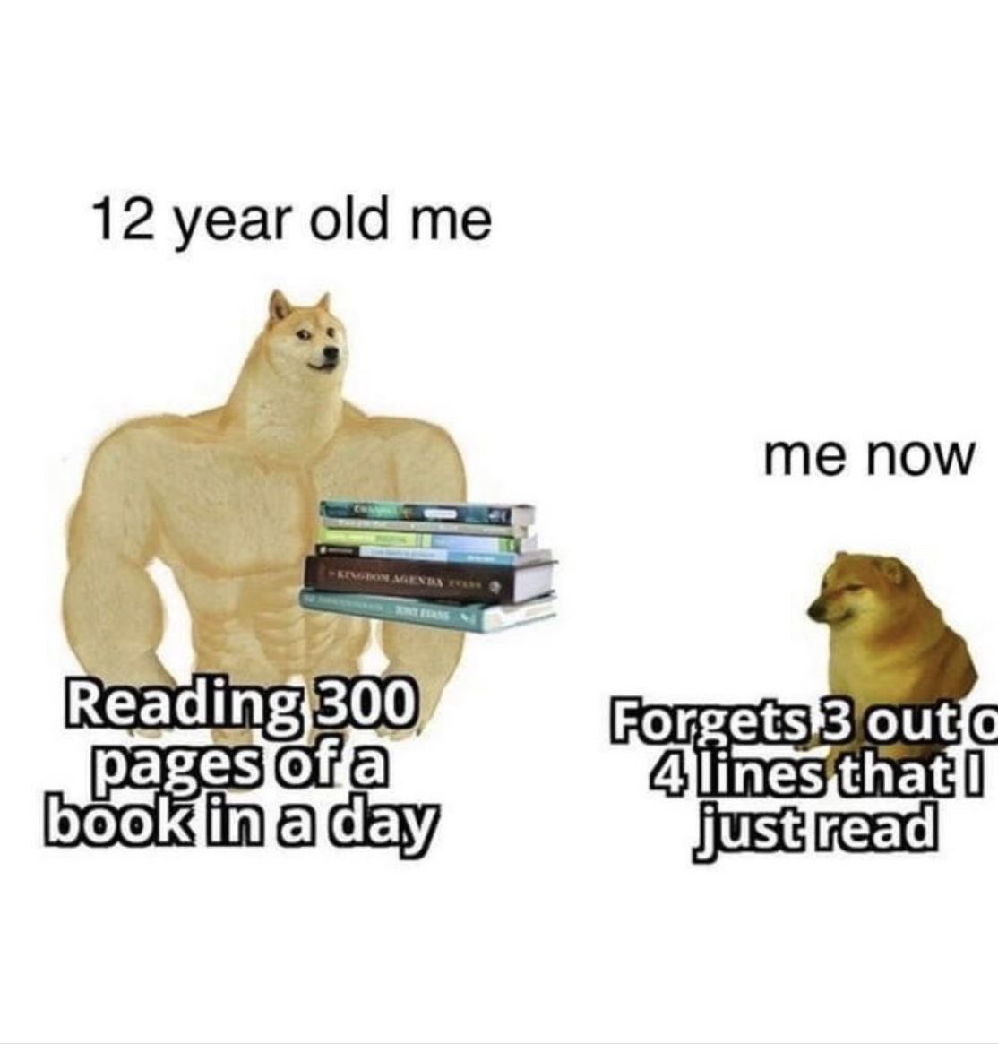 ADHD Memes tweet media