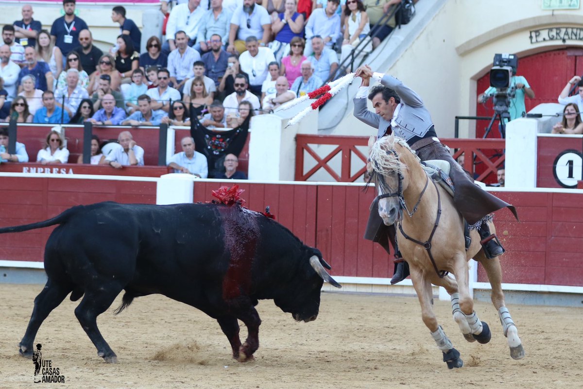 JM Martín de Blas tweet media