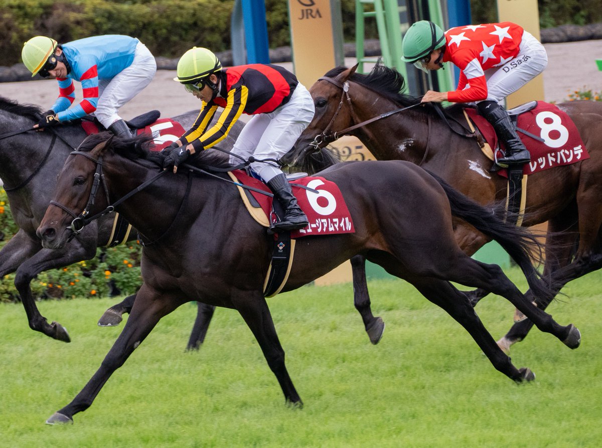 競馬ファン必見‼️超レア‼️第38回皐月賞優勝記念 競馬ファン必見‼️超レア‼️第38回皐月賞優勝記念