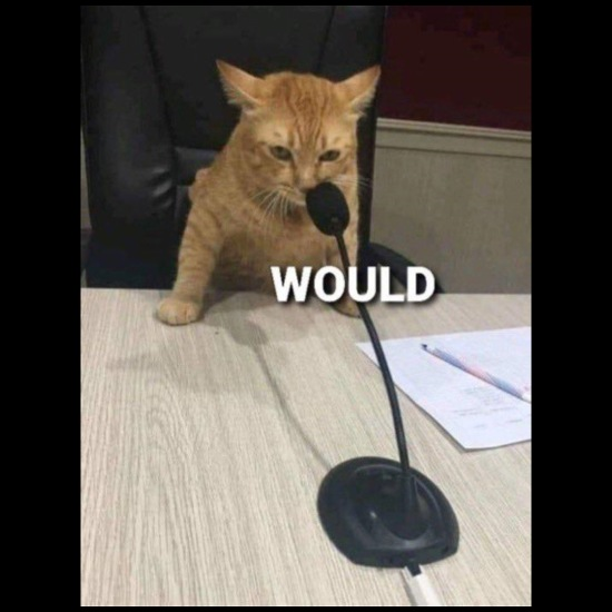 Mike Arson🔞 tweet media