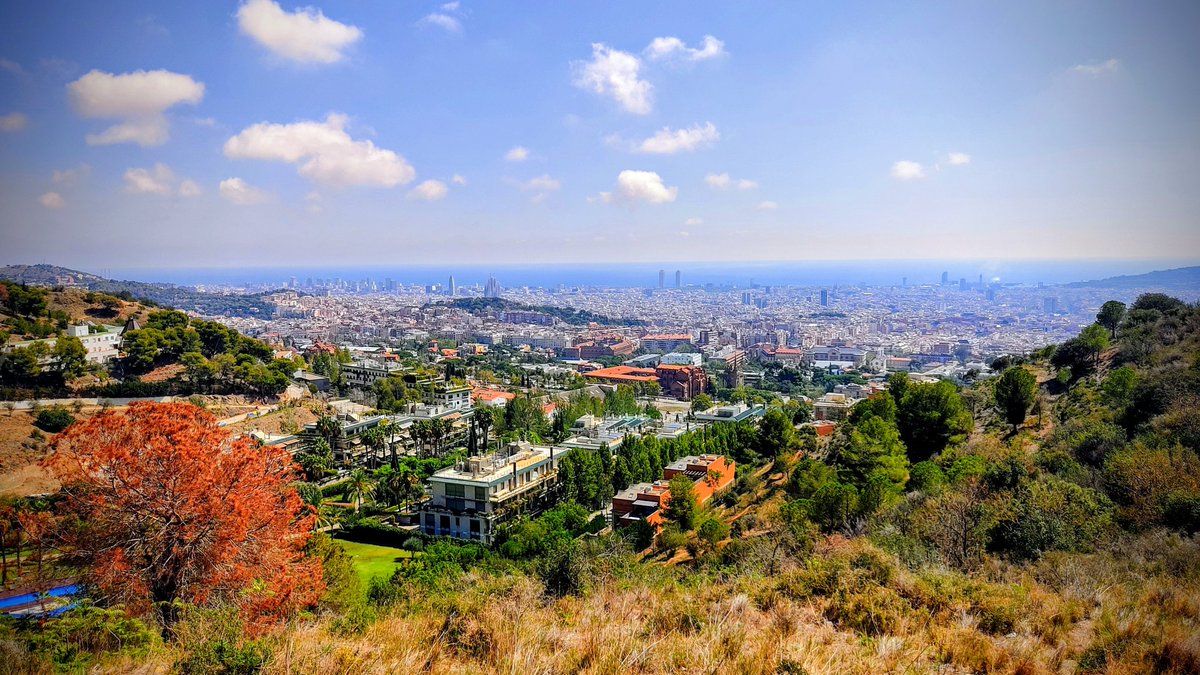 #BarcelonaMagica 🌃 Un extraño poder amenaza a la ciudad de Barcelona... ¿Estará preparada para enfrentarlo?
_
#fotografiaurbana #fantasiaurbana #antonigaudi #gaudi #casabatllo #barcelonacultura #imagination #fantasialiteraria #bcn #barcelona #vampiros #vampirosenbarcelona