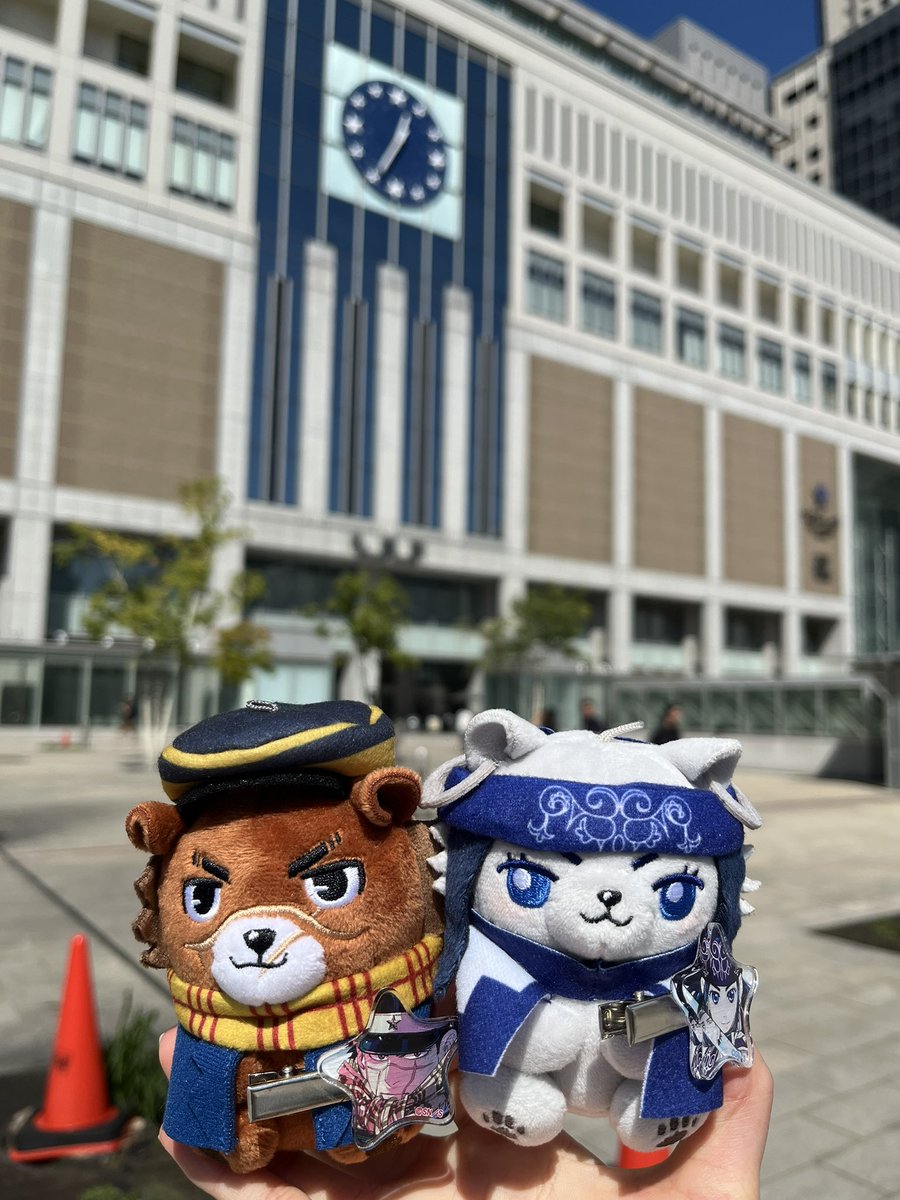 ﾎｶｲﾄﾞ来てます