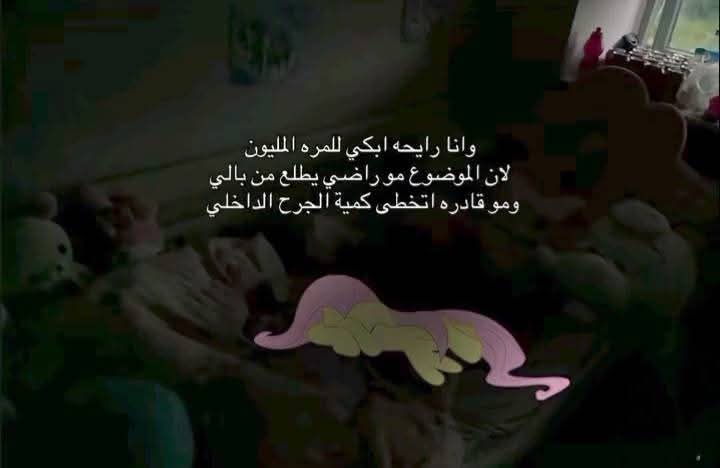 الطير المهاجر. (@strongops90) on Twitter photo 