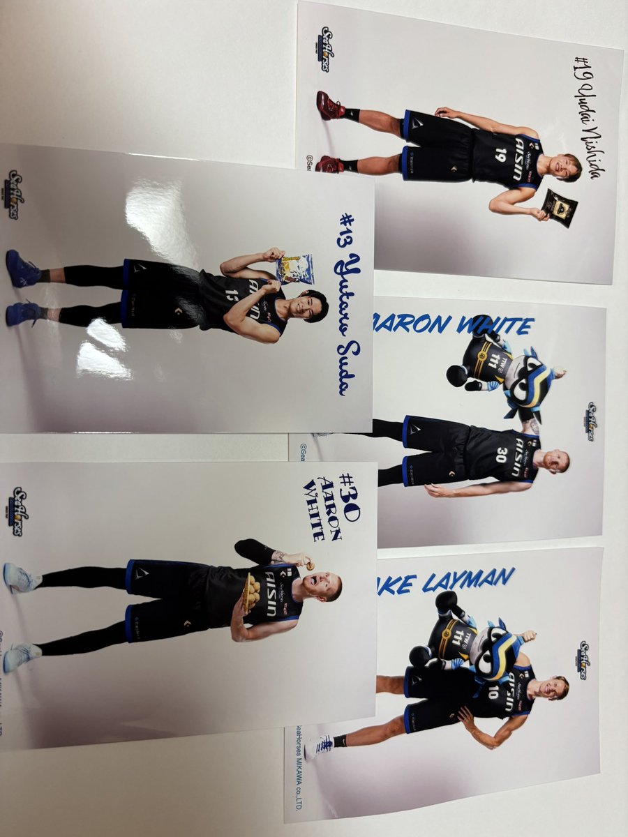 交換希望

シーホース三河 チップス写真

譲）写真のもの
求）   # 9  異種でも大丈夫です☺️

よろしくお願いします🙏🏻