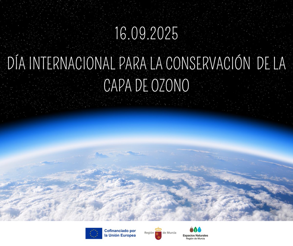 Mañana es el #DíaInternacional de la #CapaDeOzono 🌍

Es nuestro escudo natural contra la radiación UV, clave para nuestra salud y la de la #Biodiversidad, y un ejemplo global de #AcciónClimática

¡Cuidarla es #Cuidar la vida en la Tierra! ✨

#OzonoParaLaVida #EspNaturalesMur