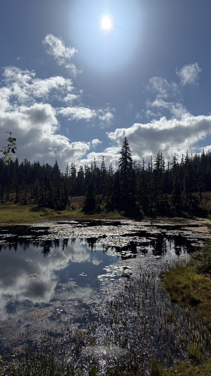 wapple15's tweet image. #ShadowsReflects