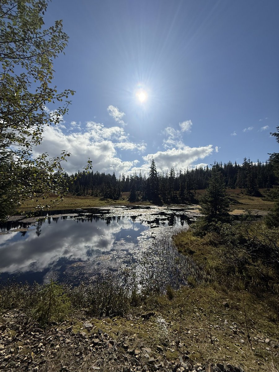 wapple15's tweet image. #ShadowsReflects