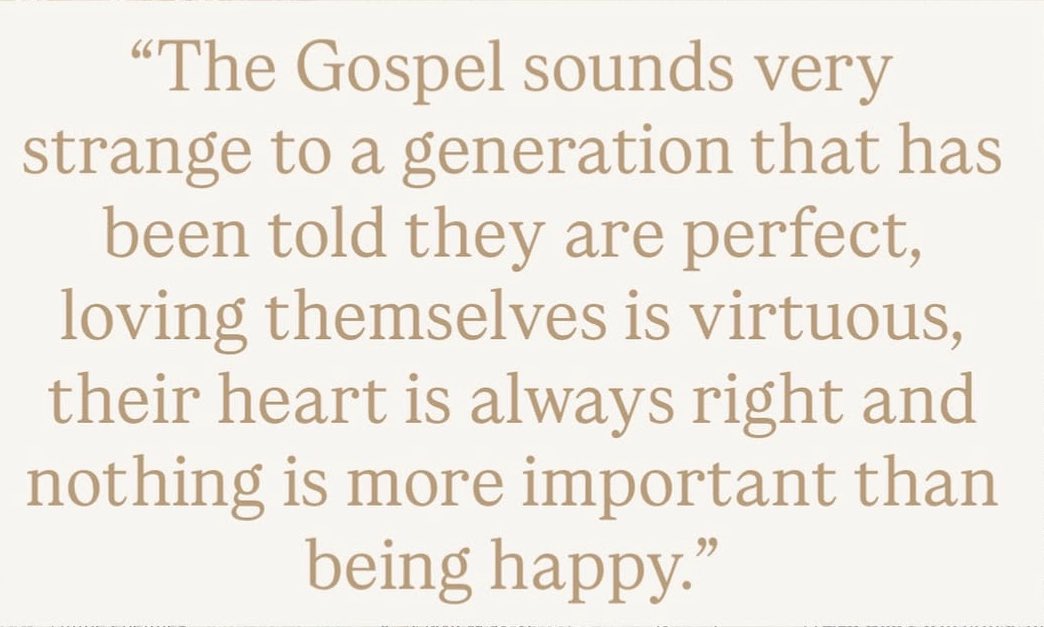 Rachel Wilson tweet media