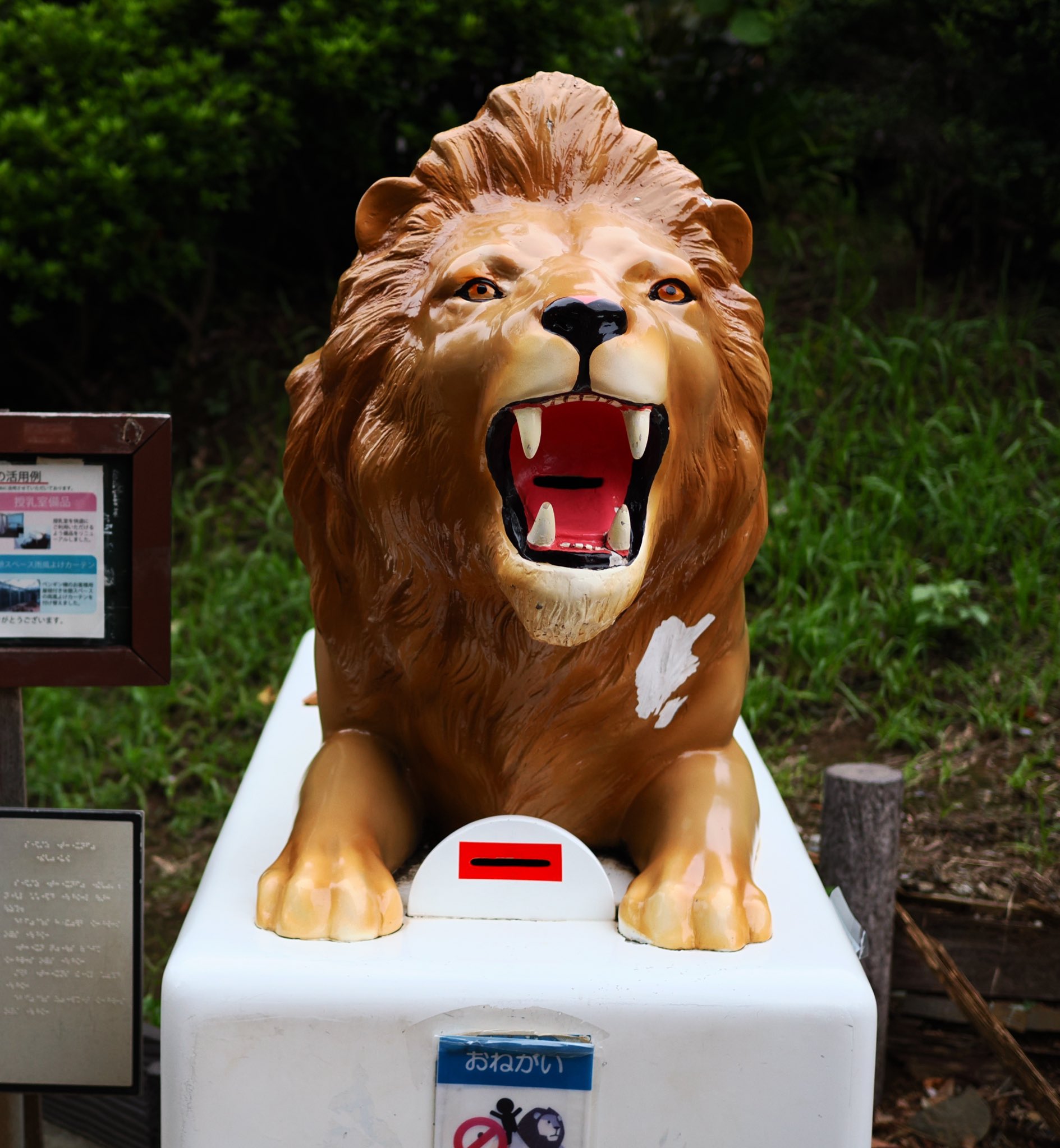 ちゅなどん (@chunadon) / X