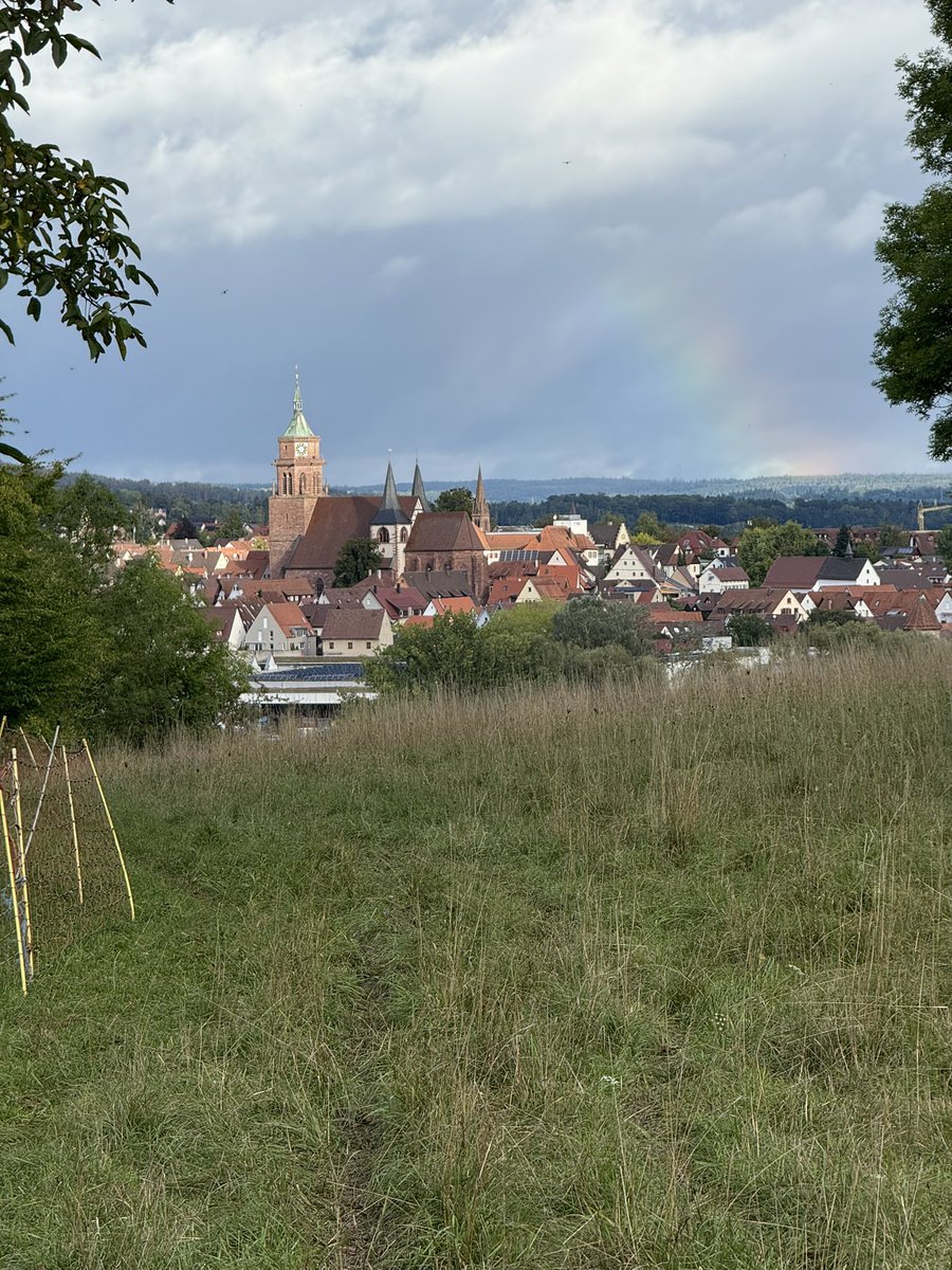 Der Tag beginnt immer mit der Kontrolle der großen Herde. Wenn dann der Ausblick auf Weil der Stadt so schön ist…. alles gut. Dann bin ich schon mal zufrieden. Mal sehen was heute noch passiert. Hoffentlich viel Gutes.