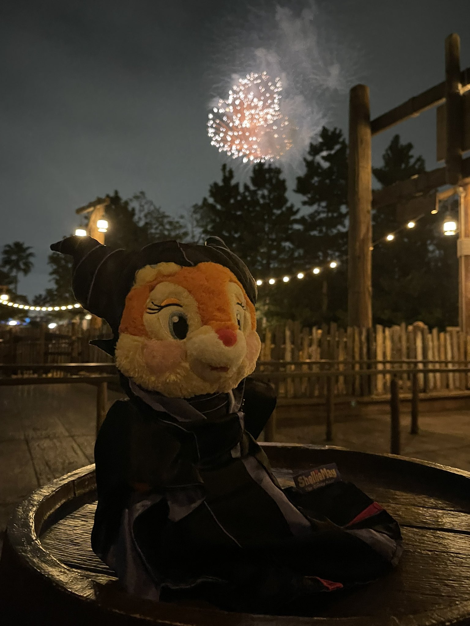 期間限定！ドナルド仮装　家族4人分✖︎→3人分　※デイジー姉　完売※ 期間限定！ドナルド仮装 家族4人分✖︎→3人分 ※デイジー姉