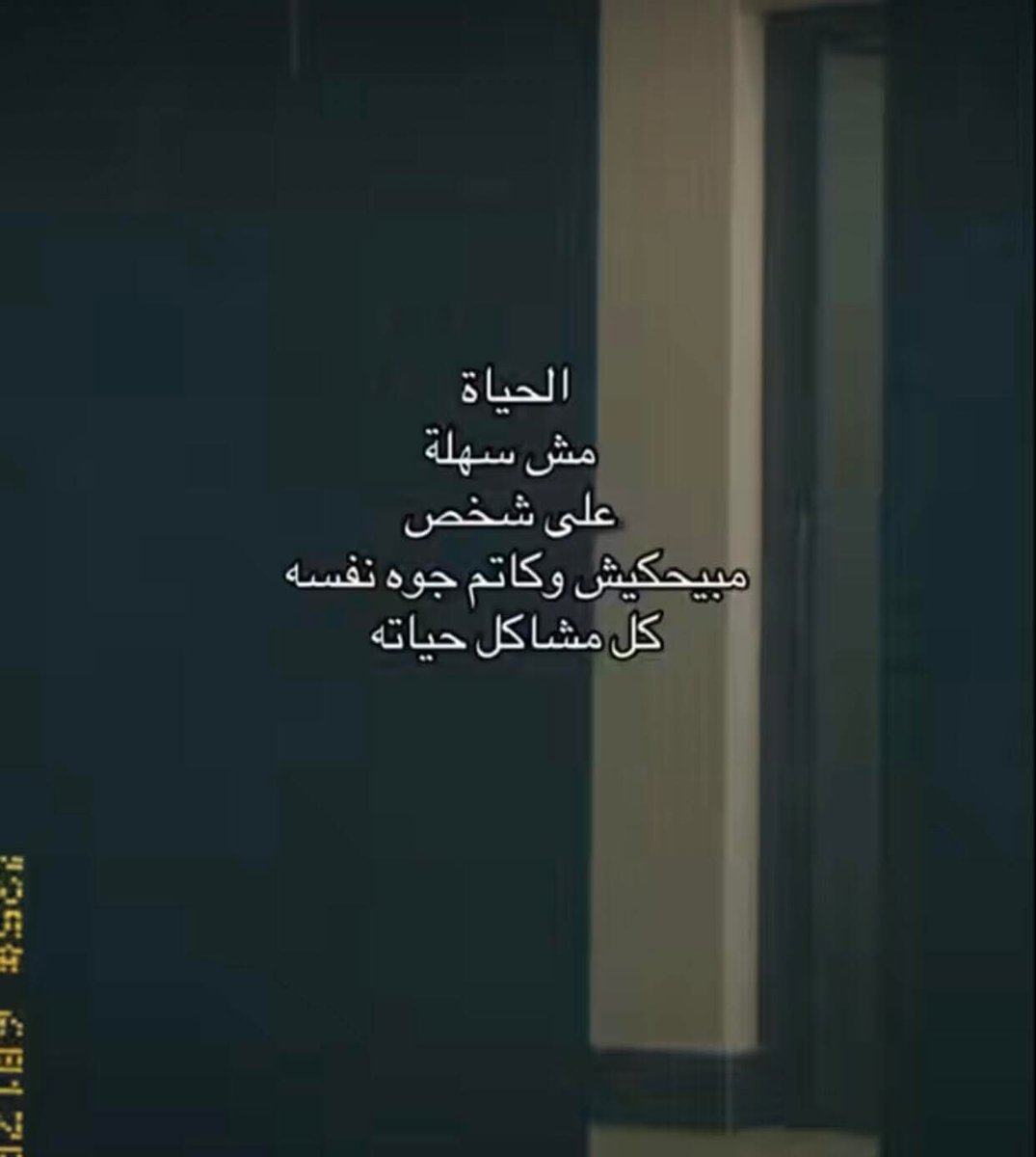 الطير المهاجر. (@strongops90) on Twitter photo 