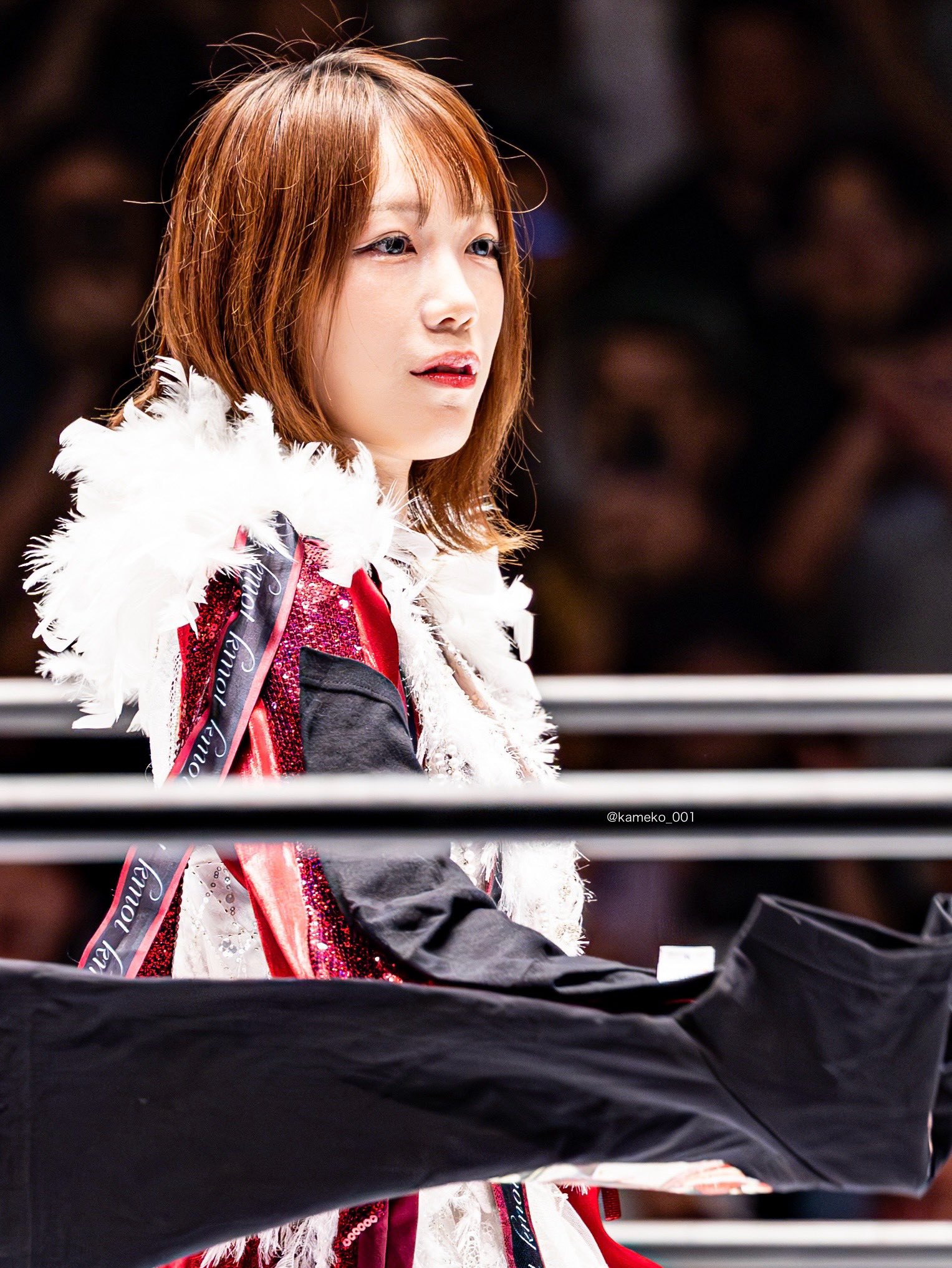 スターダム　鹿島沙希選手　時計 スターダム 鹿島沙希選手 時計 Amazon.co.jp: STARDOM スター