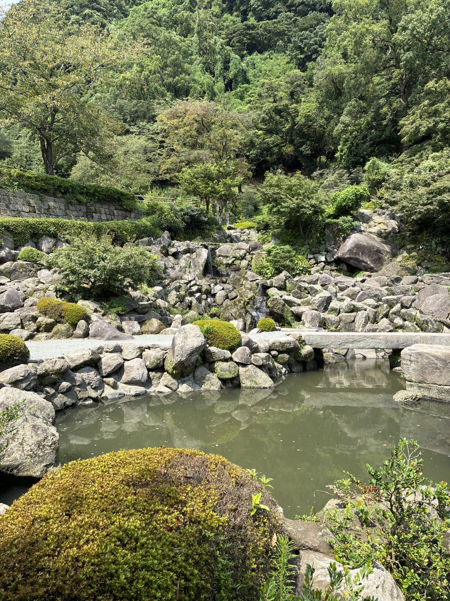Harashin0208's tweet photo. 仙巌園良かった… https://t.co/kIBiFApNBT
