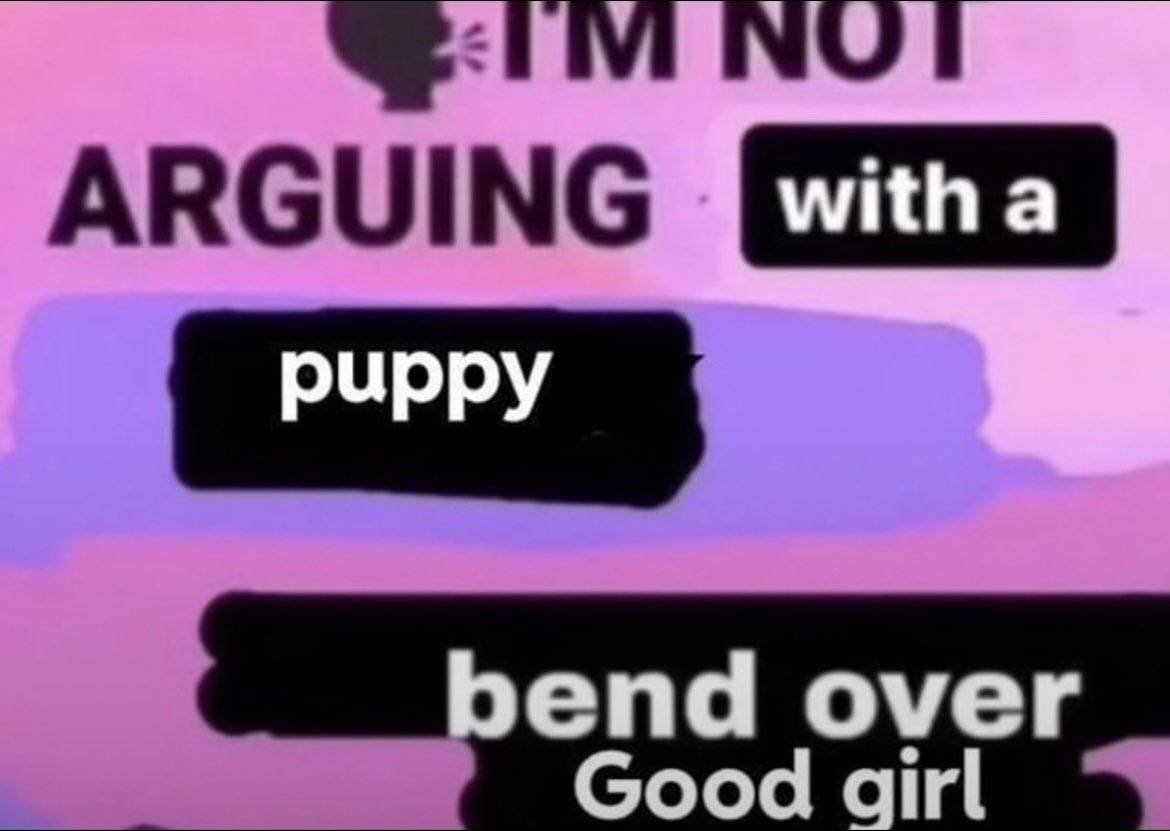 PamphletsT's tweet photo. I don't argue with puppies https://t.co/qJF2J8j3wj