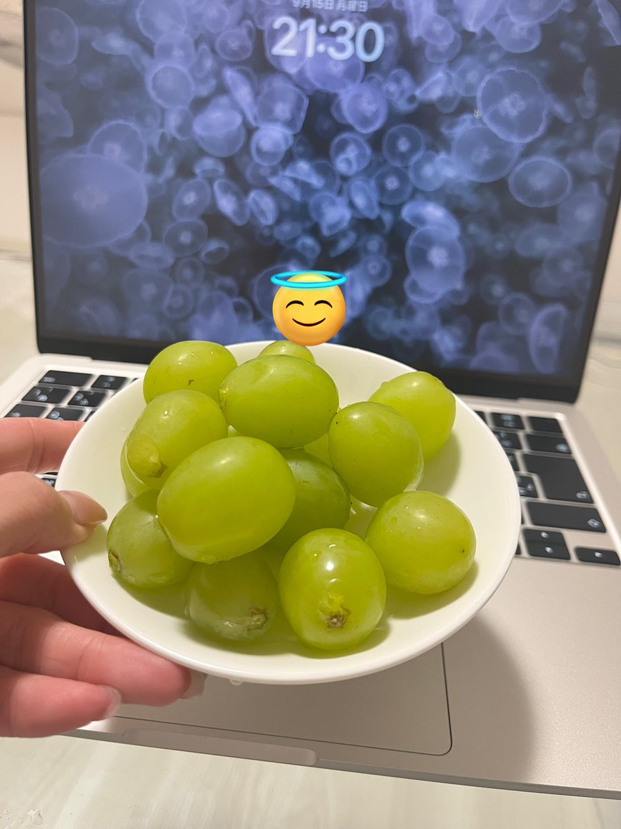 realnurseMei's tweet image. ちょっと本気で追い込んで書きます。
#webライター