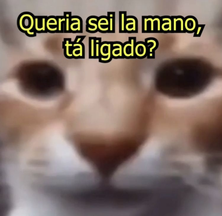 odeiootaco's tweet photo. https://t.co/39hZSIbSqS