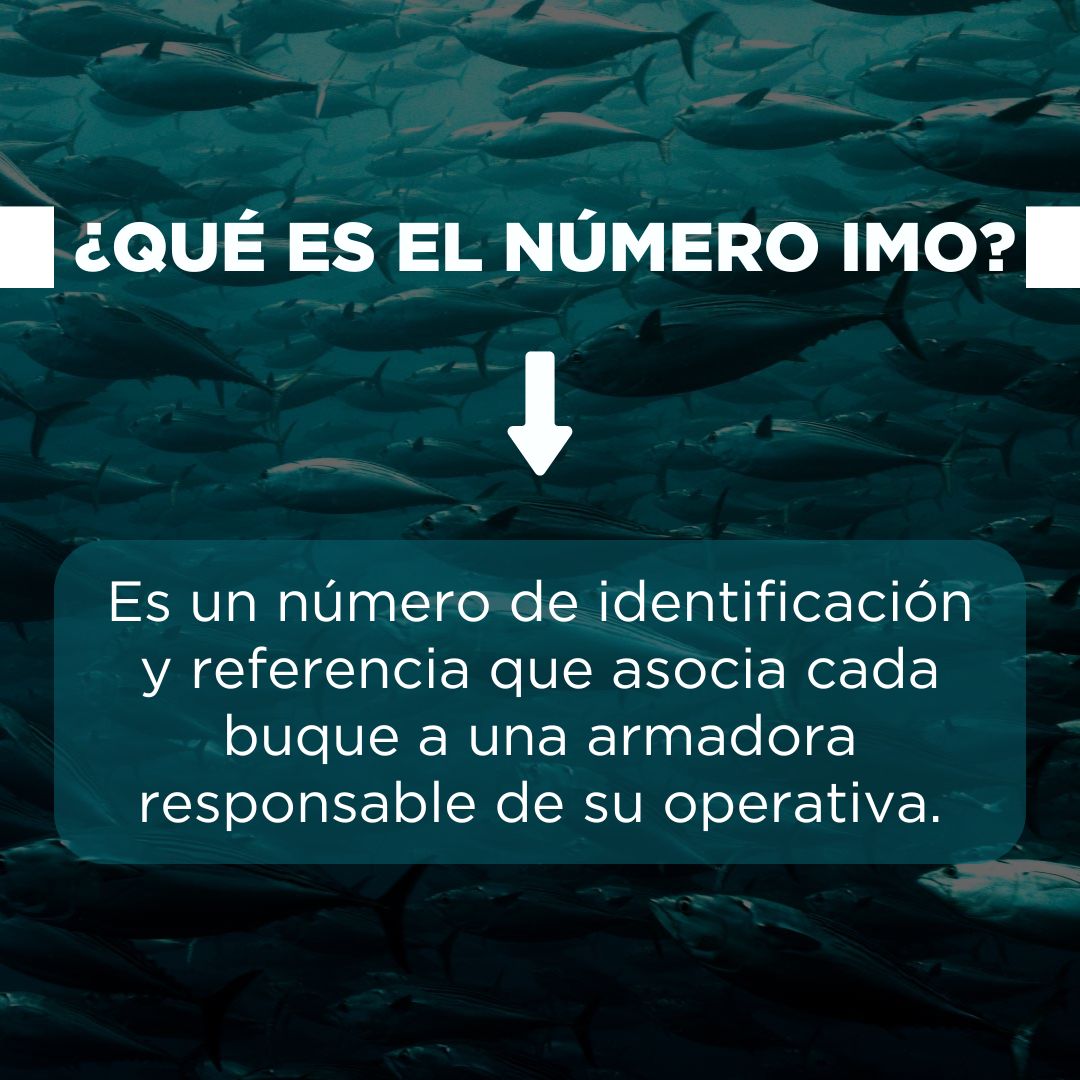 apr_aenor's tweet photo. 🐟Cada buque con certificación AENOR APR cuenta con un número IMO, su huella de identidad en el mar.

Este código es único e invariable y lo vincula siempre a su armadora responsable. Garantiza transparencia, trazabilidad y confianza en toda la cadena del atún.

#AENORAPR https://t.co/E7s155y45N
