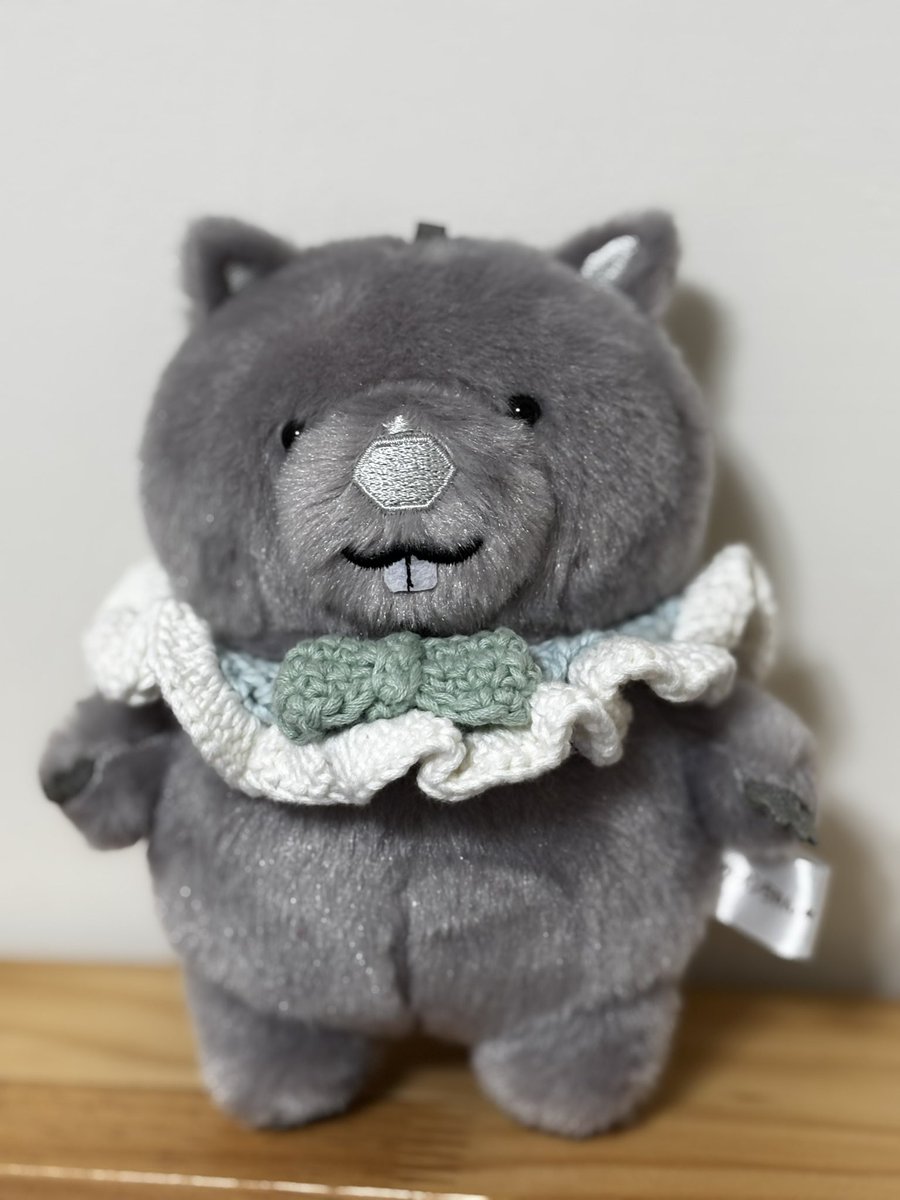 😭終於買到了
謝謝🇯🇵網友割愛給我
我會好好珍惜小小🧧Fuku
Thanks you😭💓
<a href="/won_tofu/">おとうふ</a> 謝謝😭