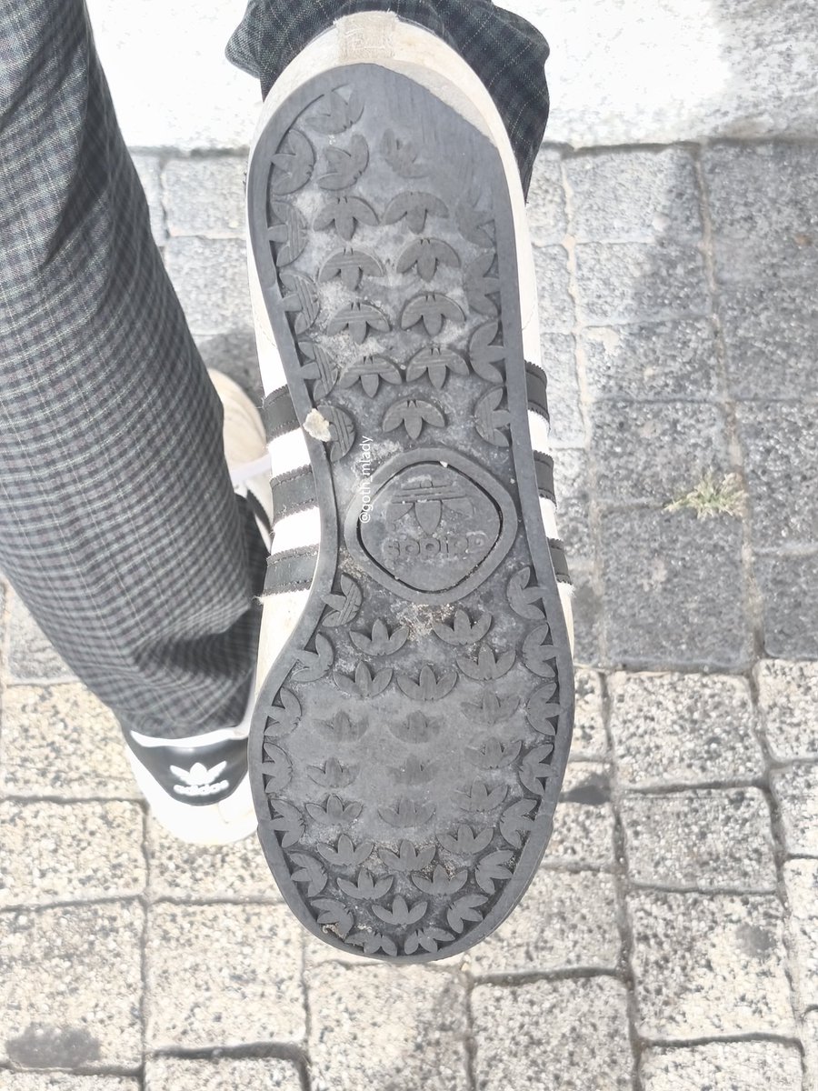 goth_mlady's tweet photo. Wiem że wolałabyś lizać podeszwę mrocznej Księżniczki niż spędzać czas ze swoją żoną, frajerze 🥀✨ 

@rt_feet @andrzejmarston @RT_PROMOTION_ @user385u @FindomPolish @FeetToesSoles @PolishFootSlave @PromocjaDomin @PromocjaDomin https://t.co/sWh4iYBLvf