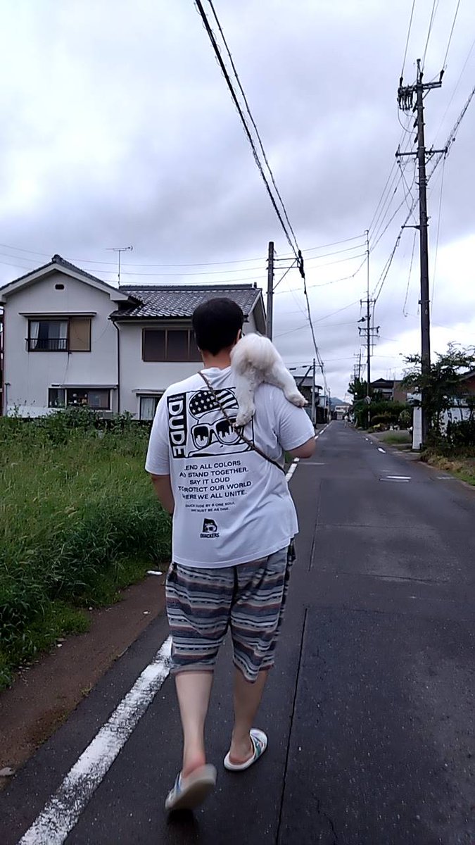 mystyle141's tweet photo. 散歩で一番離れた場所で
疲れたと抱っこ要求するのよ🫠
家まで🏠このまま帰宅
   #シーズー https://t.co/sV8yx2a8wI