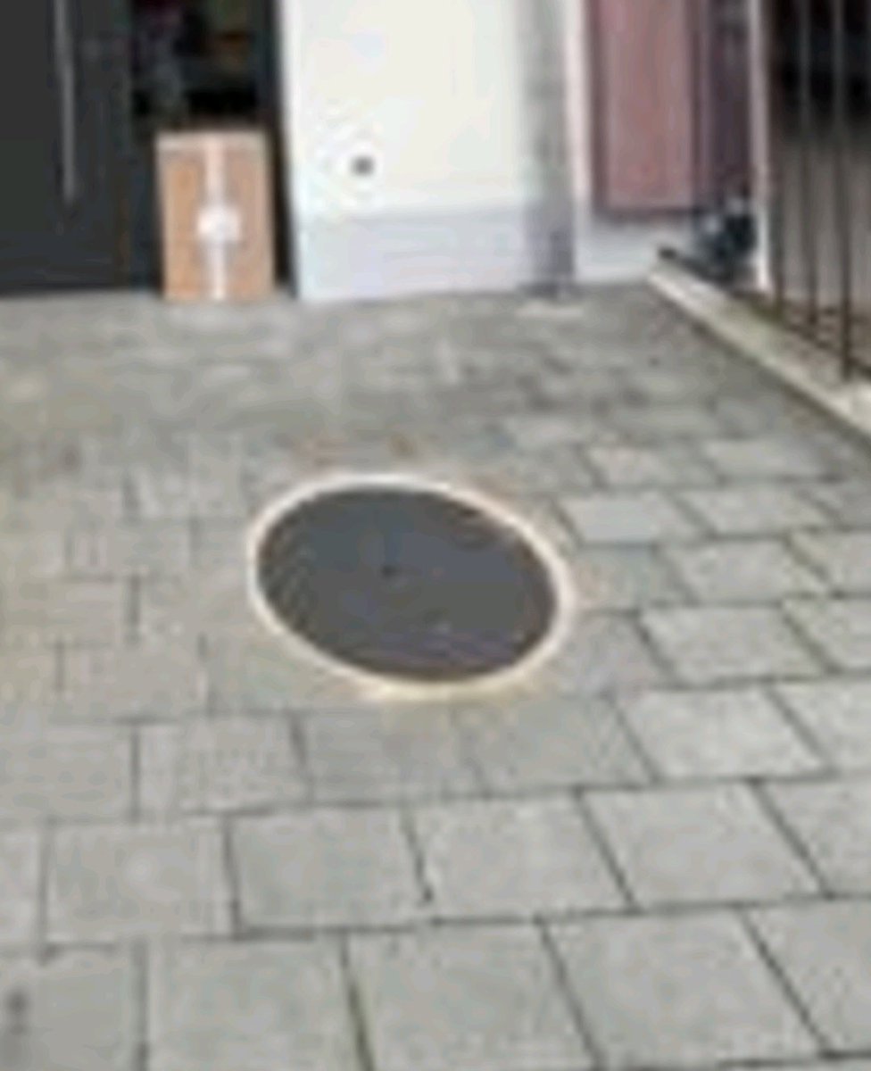 salubansky 🌝 tweet media