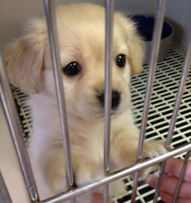 부르르뽀뽀 섭종                     엑디즈의 편지