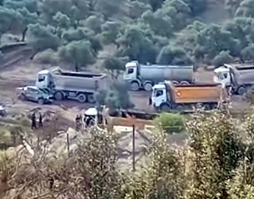 Muğla’nın Milas ilçesine bağlı İkizköyde  Limak ve İçtaş’a ait Yeniköy Kemerköy Enerji A.Ş.’nin adamları bu sabahtan itibaren zeytin ağaçlarını sökmeye başladı. 
İnsana düşman, ağaca düşman, hayvana düşman. Varsa yoksa rant. Siz nasıl bir yaratıksınız. 

#İkizköyDireniyor