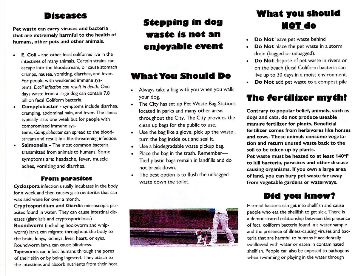 New Bedford DPI (@nb_dpi) on Twitter photo 