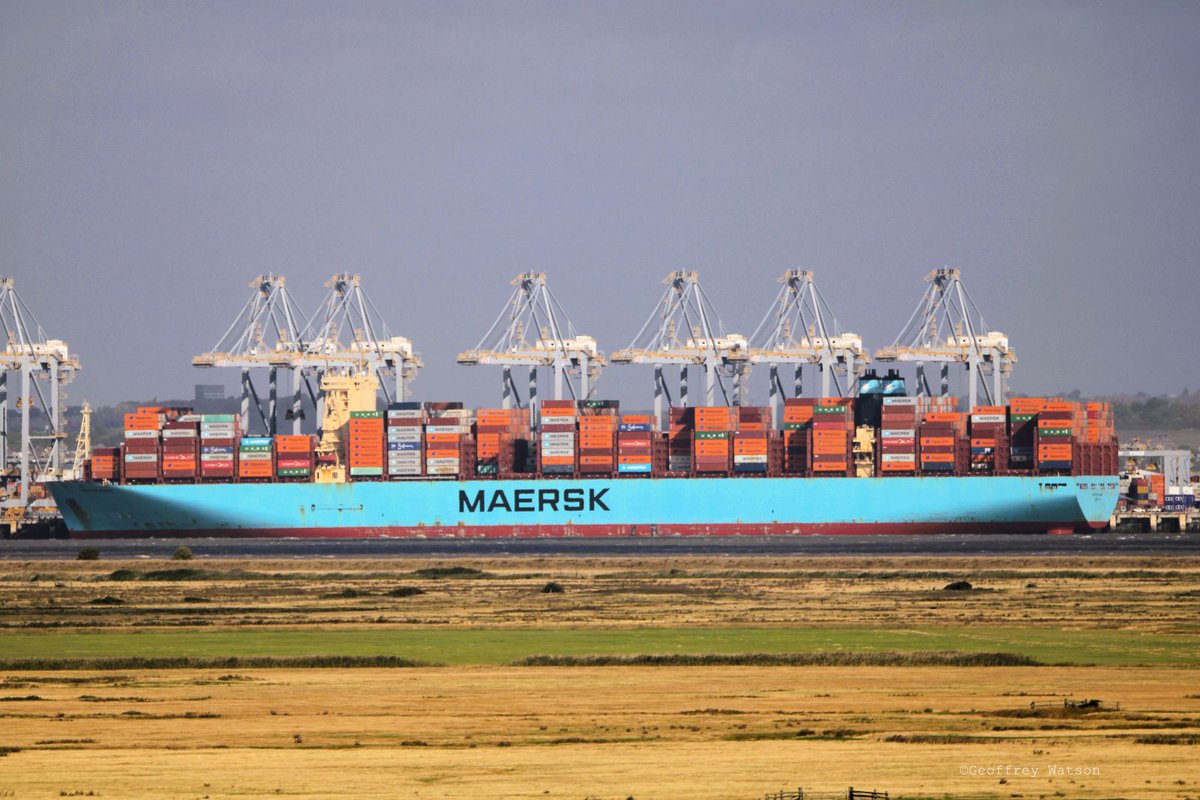 GeoffreyWatson2's tweet image. 4 ships at London Gateway today - Moscow Maersk, Mehuin, MSC Simona, Maersk Guatemala.
#londongateway #dpworld #containers #shipping #marinephotographer #portoflondon #thames #shipping #maritime #logistics #maersk #hapaglloyd #msc