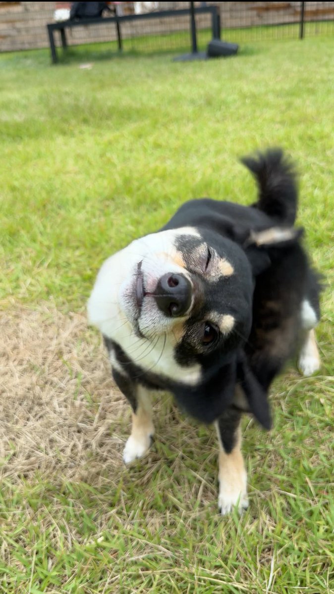 柴ドリルする時絶対どちらかの目は開けていることが判明し驚きを隠せない…