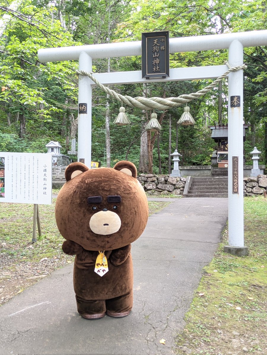 ぽっちゃん🧸 (@chi0118coco) / Posts / X