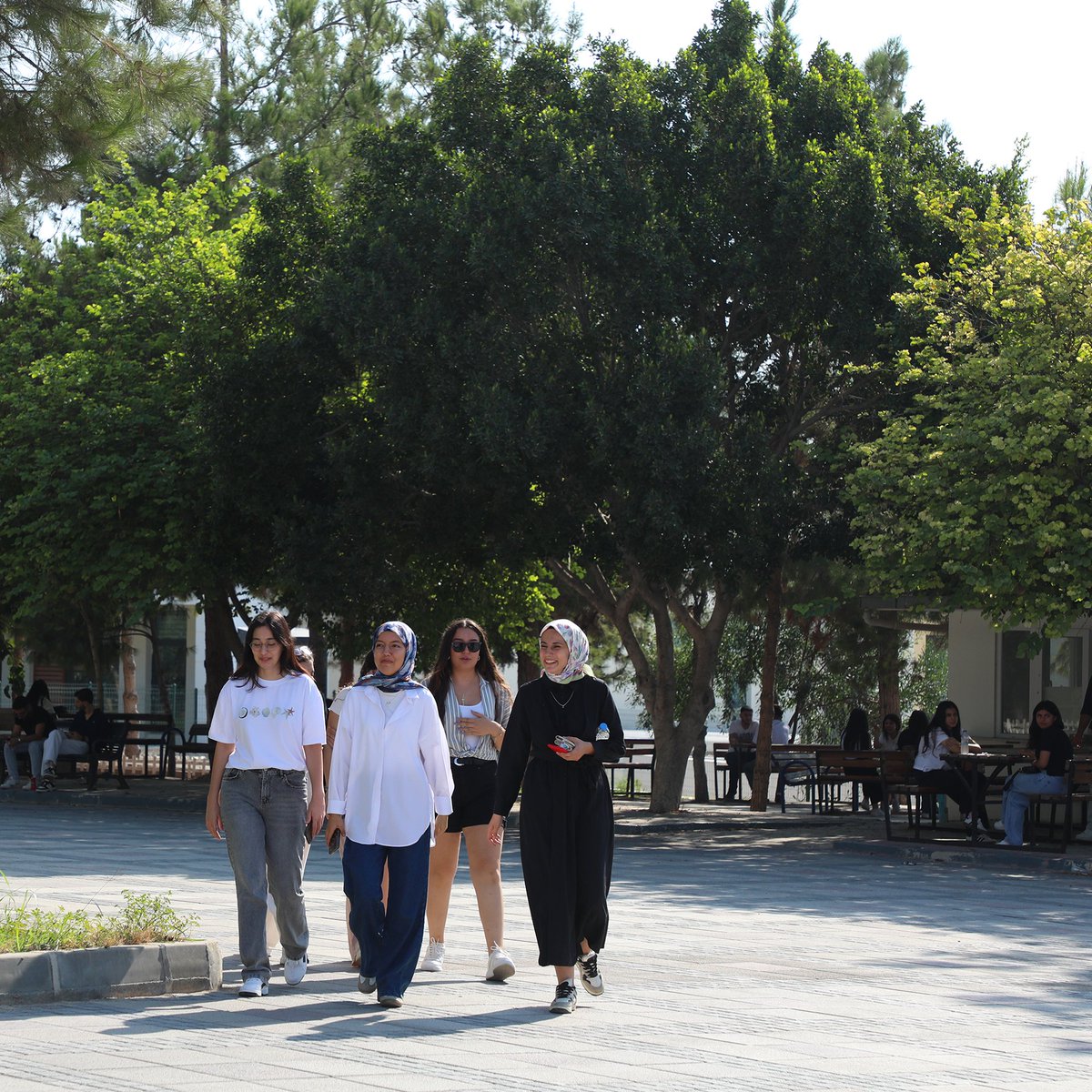 TarsusUni's tweet photo. Yine bir arada, kampüs sizlerle güzel 🎉

Değerli Öğrencilerimiz Üniversitenize Hoş Geldiniz!💫

#TarsusÜniversitesi https://t.co/7ZCaHzJXuv