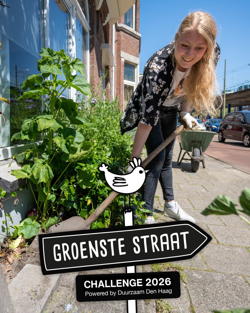 Win prijzen voor je straat! Hoe groener jullie straat, hoe groter de kans om te winnen.🏆 Samen met je buren kun je meedoen aan de Groenste Straat Challenge, waarbij jullie hulp en begeleiding krijgen van <a href="/duurzaam_dh/">Duurzaam Den Haag</a>. Bekijk de voorwaarden en meld je aan: duurzaamdenhaag.nl/groenstestraat