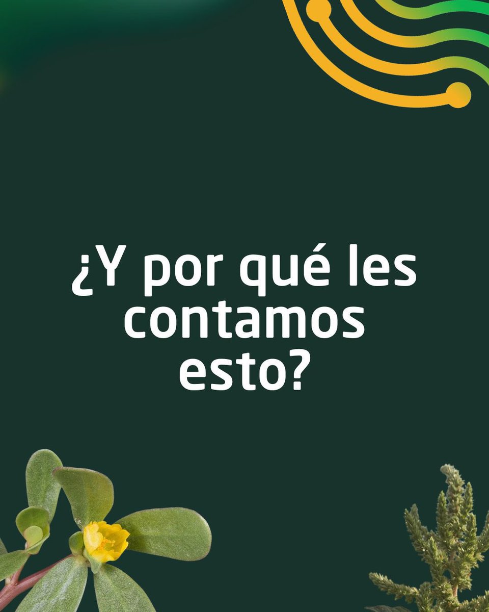 DeepAgro tweet media