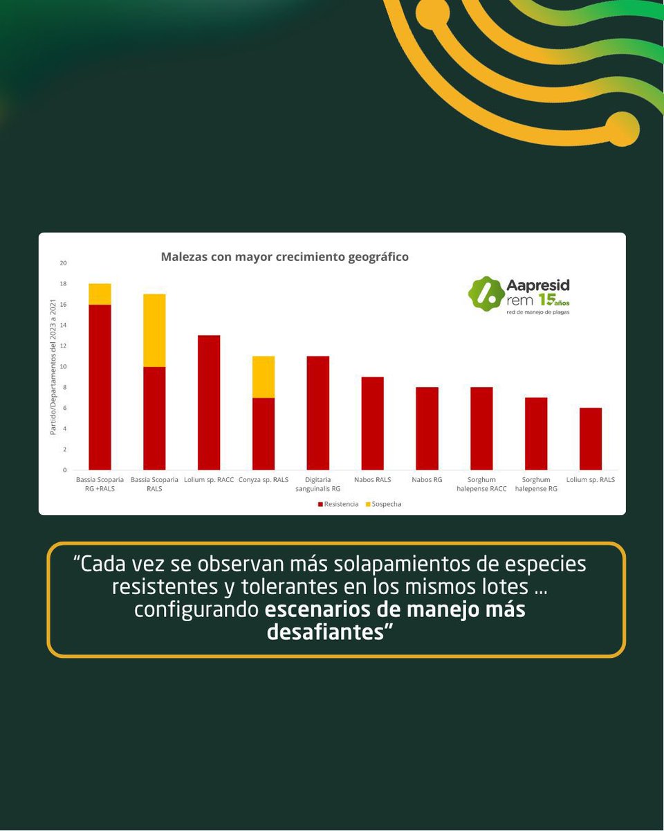 DeepAgro tweet media