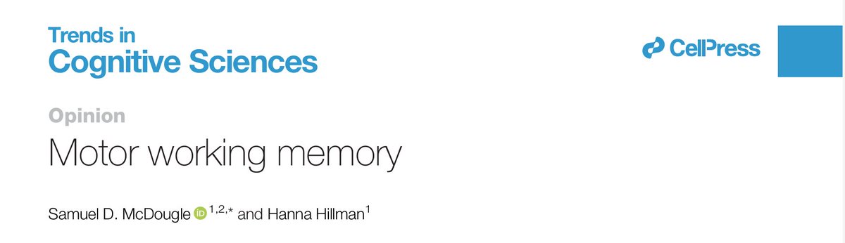 Sam McDougle (@smickdougle) on Twitter photo Excite that our new review, "Motor Working Memory", is now in press at <a href="/TrendsCognSci/">Trends in Cognitive Sciences</a>! <a href="/CellPressNews/">Cell Press</a>. By me + <a href="/hannahillman/">Hanna Hillman</a>
We argue that a dedicated research program on a 'working memory for movements' is long overdue.
*Gift Link*: authors.elsevier.com/a/1lmMX4sIRvW-… Excite that our new review, "Motor Working Memory", is now in press at <a href="/TrendsCognSci/">Trends in Cognitive Sciences</a>! <a href="/CellPressNews/">Cell Press</a>. By me + <a href="/hannahillman/">Hanna Hillman</a>
We argue that a dedicated research program on a 'working memory for movements' is long overdue.
*Gift Link*: authors.elsevier.com/a/1lmMX4sIRvW-…
