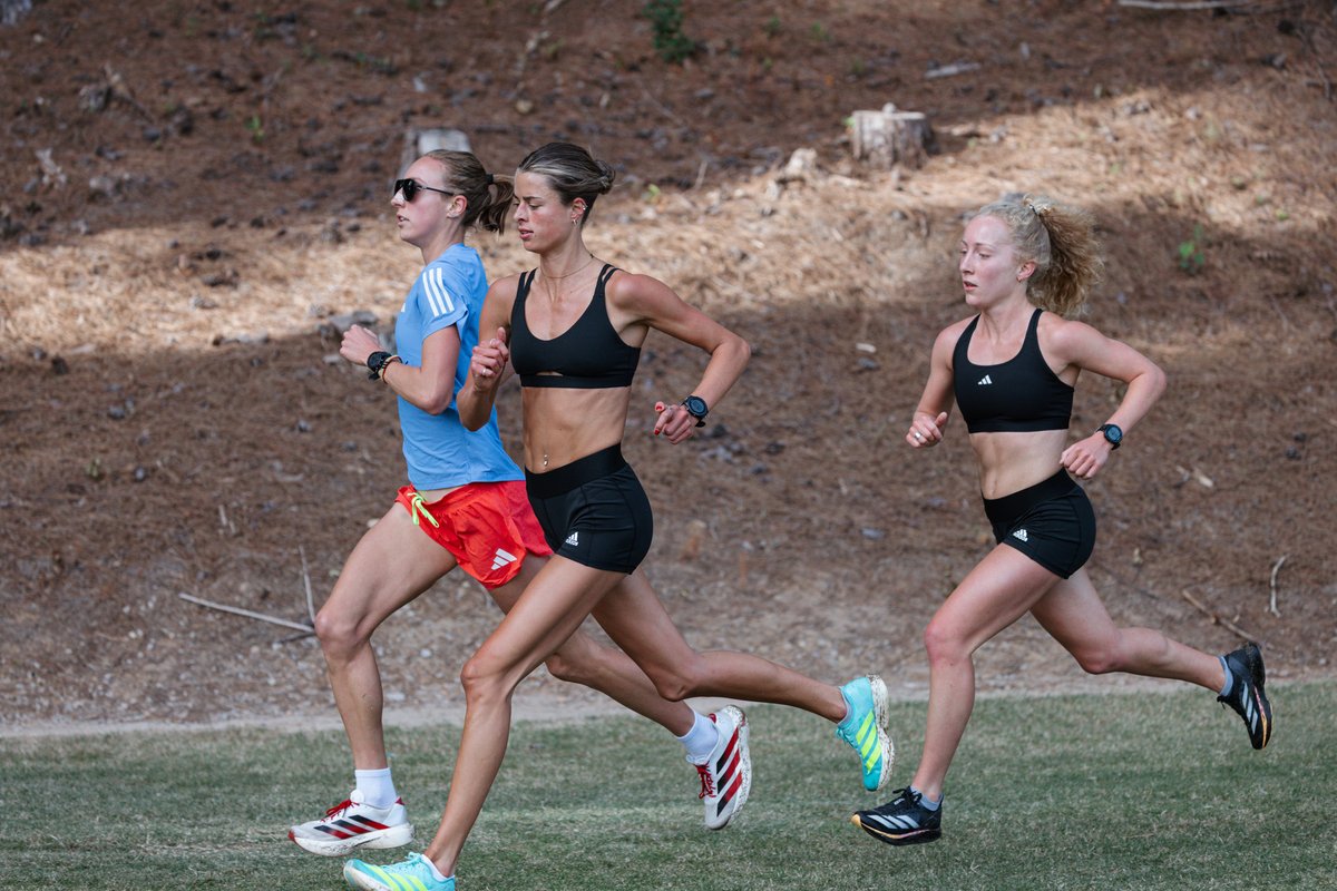 Wolfpack_TFXC's tweet photo. Get excited because we compete this week 🙌🏻

#WolfpackXC | #GoPack https://t.co/HdwJCpLwvS