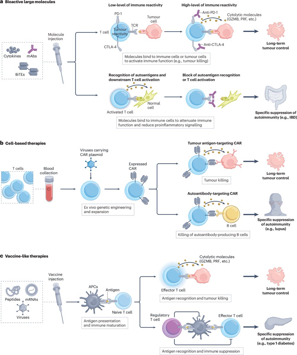 NatRevDrugDisc's tweet image. Microsystem technologies for accelerating the discovery and translation of immunotherapies
nature.com/articles/s4157…
rdcu.be/eGqYy

This new review describes how microsystems can address efficacy, toxicity, predictability and affordability challenges with immunotherapies