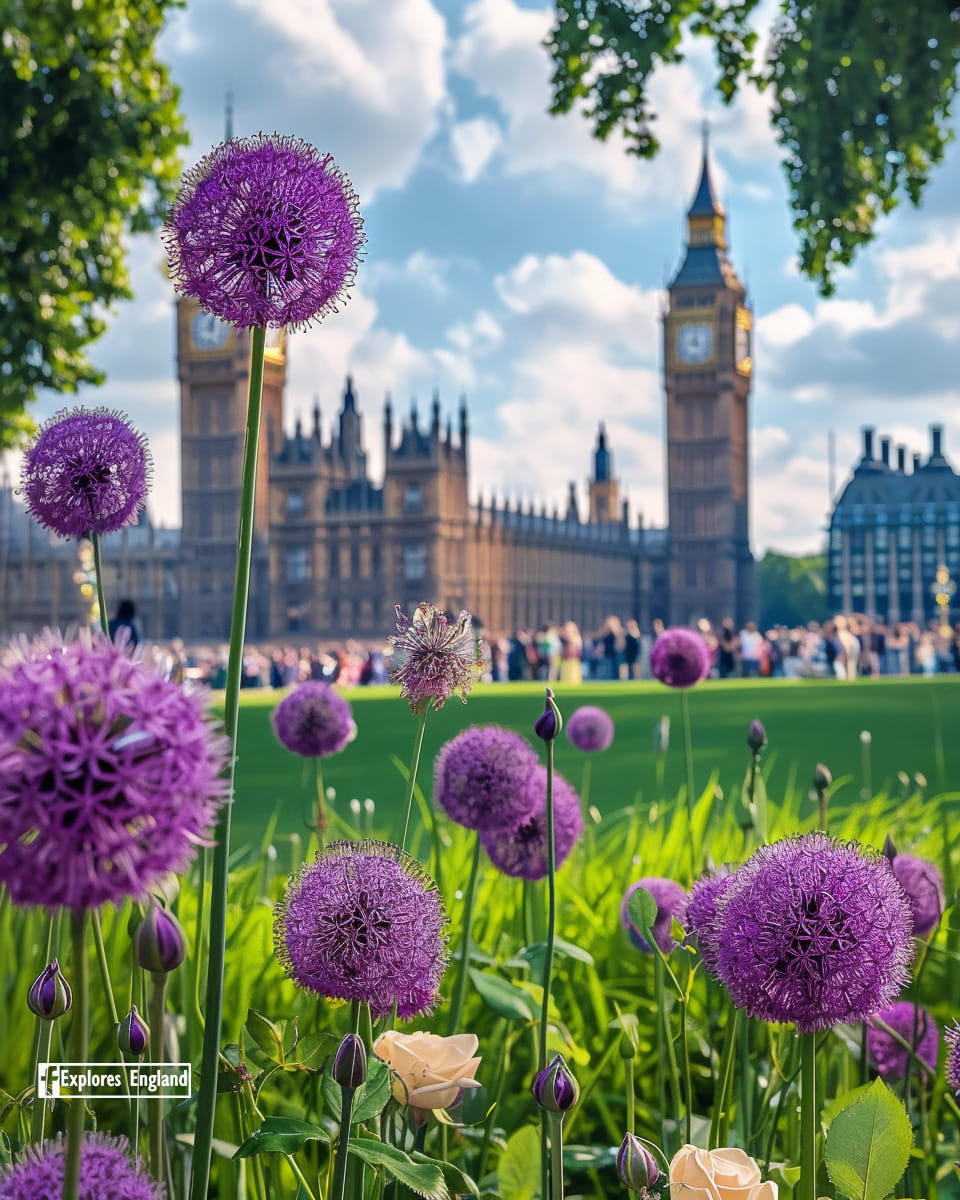 England