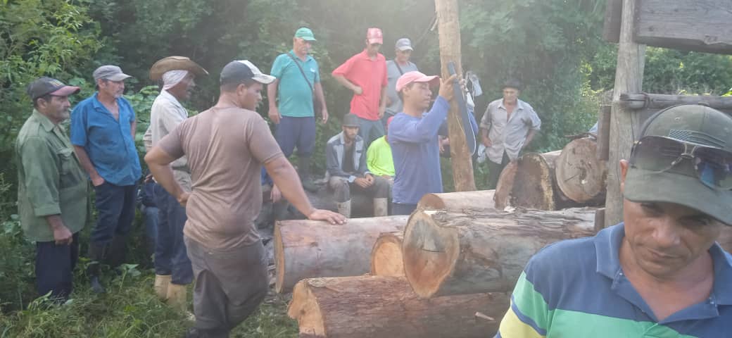 Los tiempos difíciles son la mejor medida de cada cual” .
Digno de reconocer el trabajo de la brigada forestal de #TabacaleraMantua.
#TabacalerosPorMás 
#NuestraFortalezaEsLaHerencia 
#MantuaDeCuba