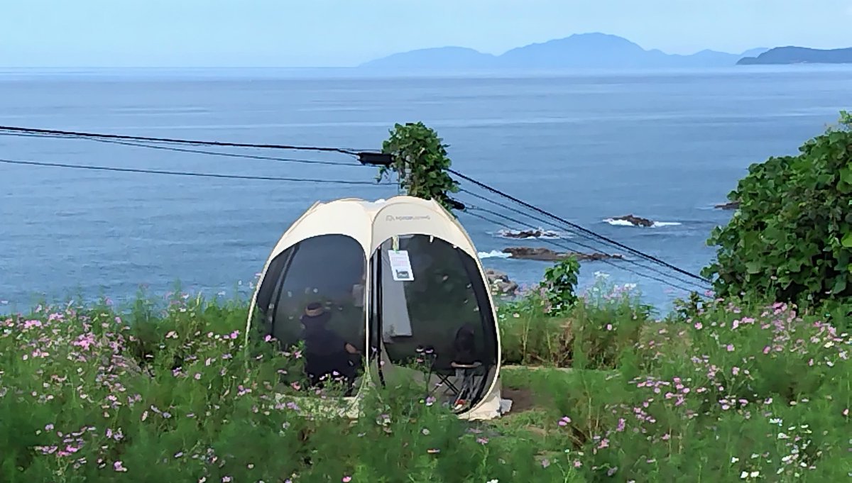 まるでゴンドラ！　笠島駅〜佐渡見平コスモス畑
#海とコスモス　#海が見えるコスモス畑　#コスモス旅2025