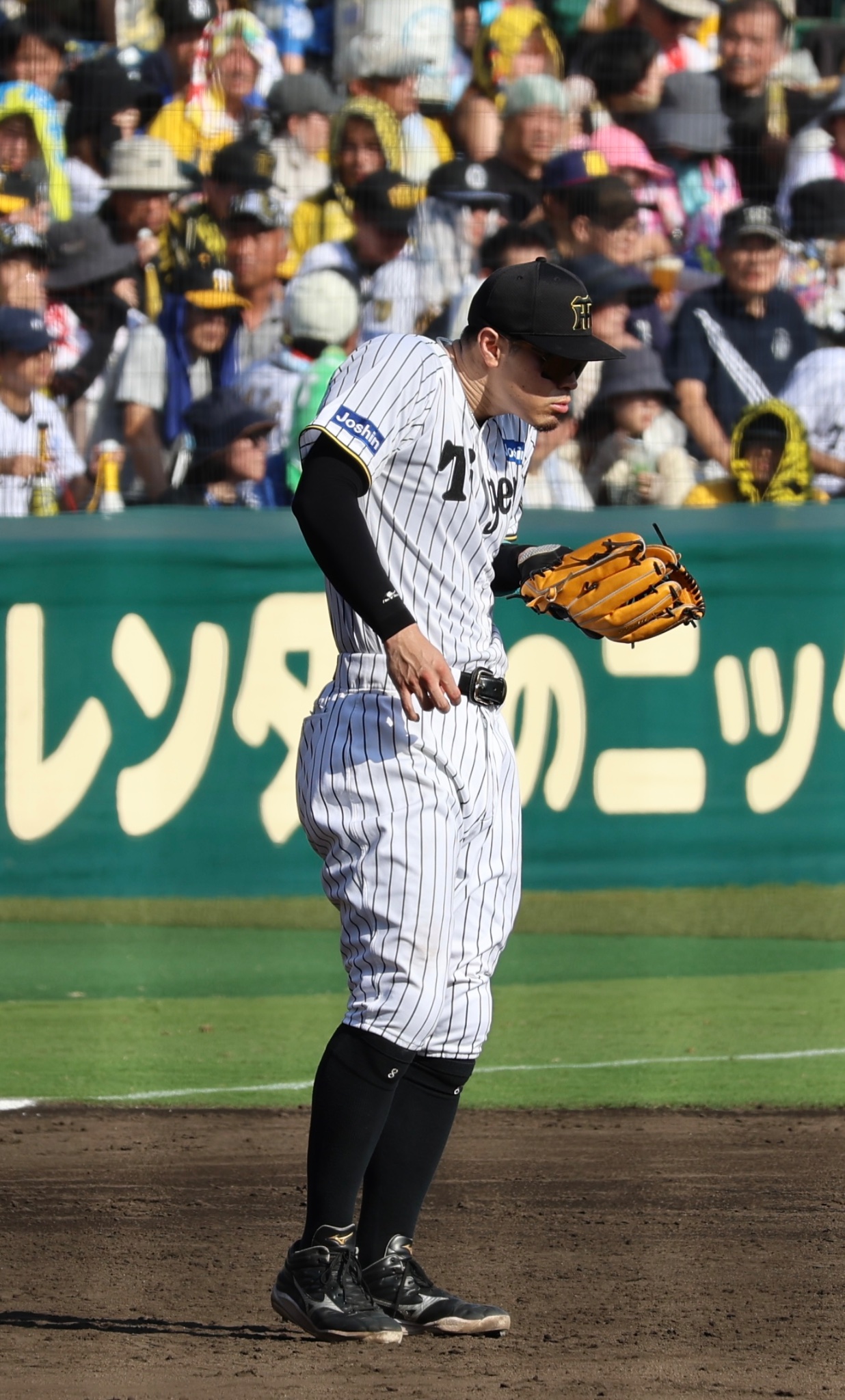 佐藤 佐藤型/84cmのみ】MIZUNO（ミズノ）限定 硬式用木製バット ハイ
