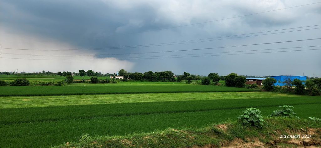 WeatherRadar_IN's tweet image. Dark clouds rolling over green fields in Sambhal, Uttar Pradesh ⛈️🌾 Captured by Zia Ansari, a perfect glimpse of monsoon mood. #Sambhal #UttarPradesh #MonsoonVibes