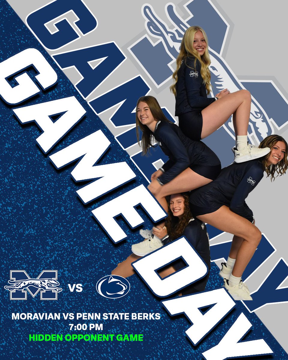 Moravian Greyhounds tweet media