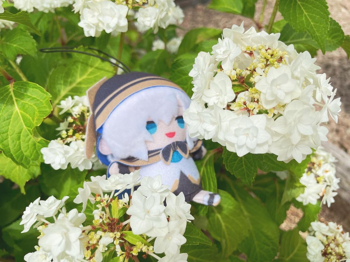 r_m_1415's tweet photo. #一緒なら未来はきっと虹色だ https://t.co/IcwOO6Y0tF