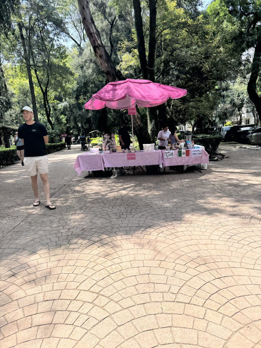 quemasquieres's tweet photo. @AlessandraRdlv hola podrás hacer operativos en parque México los fines de semana ? Se está volviendo la alameda , aparecen nuevos puestos , quien los autoriza ? @CopacHipodromo1 @LaVozHipodromo @SSC_CDMX @obdulioA @inveacdmx https://t.co/5C7d67scU8