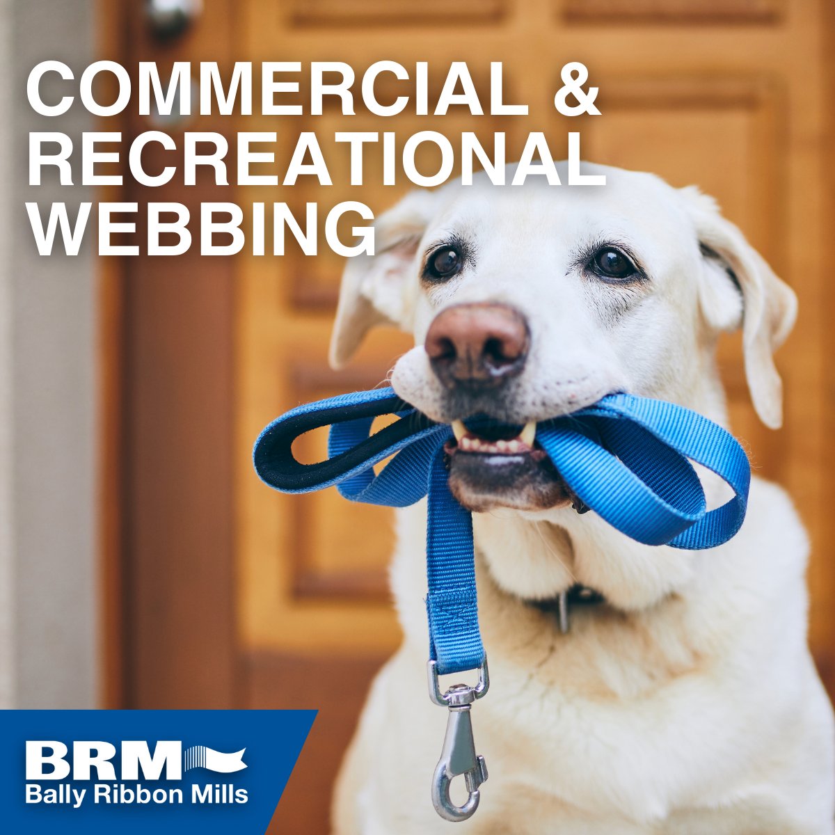 BallyRibbon's tweet image. From pet #leashes to cargo straps, BRM’s commercial #webbings combine durability, flexibility, and custom weave options. Made in the USA and built to perform in everyday and industrial applications. bit.ly/4eNKIcE