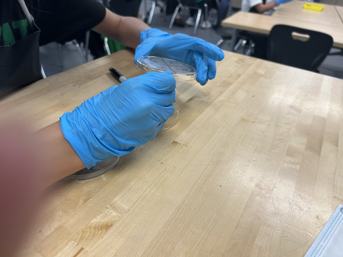 Plating bacteria and antibiotics to see which one will work best in killing the bacteria. <a href="/GreatOaksOhio/">Great Oaks Career Campuses</a> <a href="/PLTWorg/">Project Lead The Way</a>